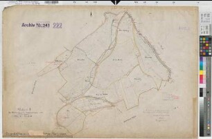 Langenholthausen (Balve), Blintrop (Neuenrade), Umlegung Langenholthausen-Blintrup, Bl.12 Urkarte II Blintrop Flur 4