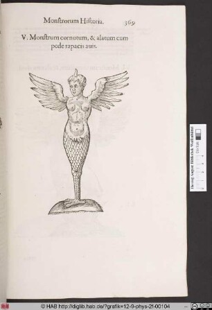 Monstrum cornutum, & alatum cum pede rapacis auis.