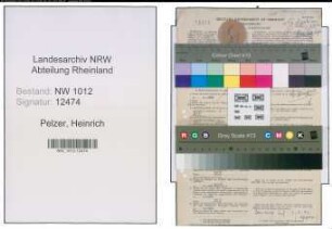 Entnazifizierung Heinrich Pelzer , geb. 07.05.1914 ()