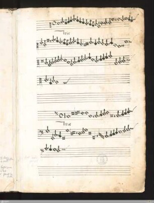 Missa super Advenisti desiderabilis (fünfstimmig)