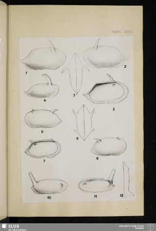 Tafel XXVII