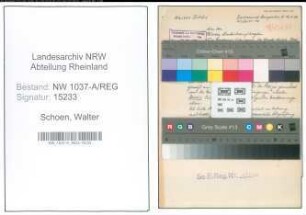 Entnazifizierung Walter Schoen , geb. (Internierung)