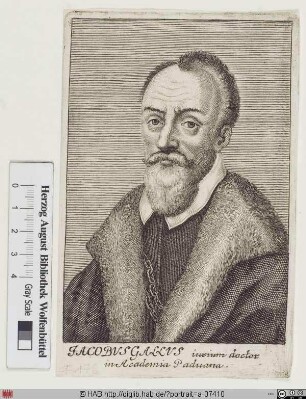 Bildnis Giacomo Galli (od. Gallo)