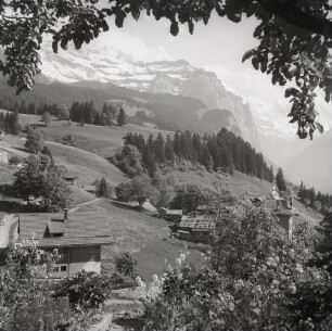 Blick von Wengen auf das Jungfrau-Massiv - View from Wengen of the Jungfrau Group : Schweiz. Blick von Wengen auf das Jungfrau-Massiv