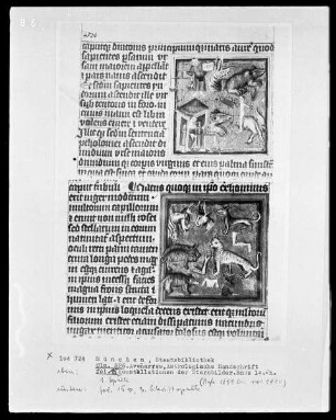 Avenares, Astrologische Handschrift — Buchseite mit Konstellationen der Sternbilder, Folio 15verso