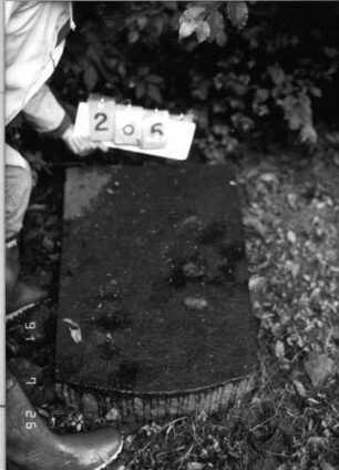 Grabstein 265