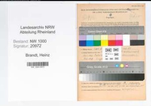 Entnazifizierung Heinz Brandt, geb. 20.11.1913 (Reichsbahninspektor)