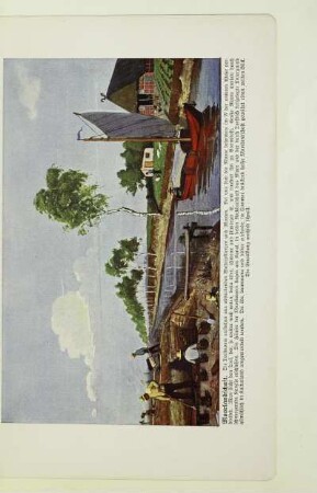 Moorlandschaft