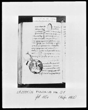 Formulae Andegavenses — Initiale, Folio 165verso