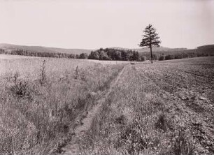 Lohebach, Melioration, 1938