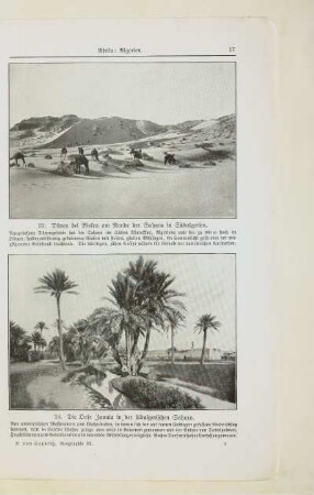 24. Die Oase Zaouia in der südalgerischen Sahara