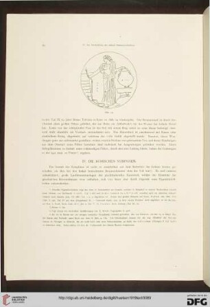 IV. Die römischen Nymphäen