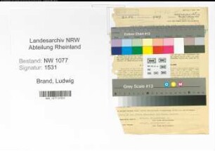 Entnazifizierung Ludwig Brand , geb. 15.02.1894 (Polizist)
