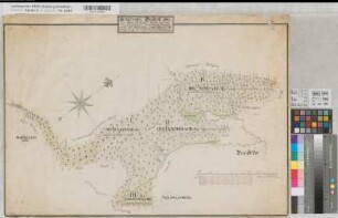 Lützel (Hilchenbach) Grund (Hilchenbach) Vermessung eines Teils des Lützeler Forstes (Strahlenschlag, Traenkerschlag, Schloessergarten und Aspernschlag) 1787 80 Ruten = 13,15 cm 48,5 x 72,5 kol. Zeichnung Philipp Christian Lieber, Herringen KSA Nr. 195a