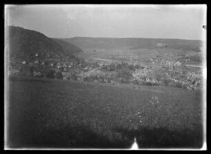 Blick über Wiesen nach Wertheim und Kreuzwertheim (mainabwärts)