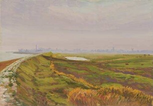 Deichwanderung durch die Marsch auf Föhr