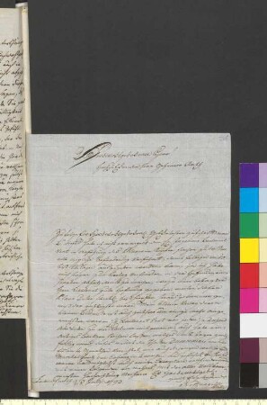 Brief von Nothnagel, Johann Andreas Benjamin an Goethe, Johann Wolfgang von