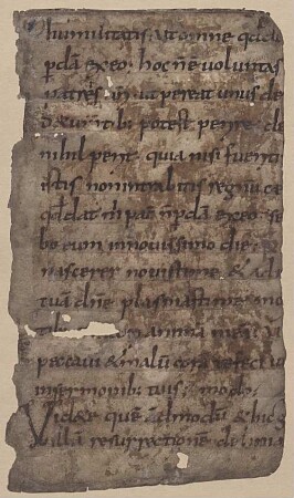 In Johannis evangelium tractatus CXXIV - BSB Clm 29382(11