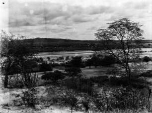 San Antonio-Villamontes mit Pilcomayo : Landschaft mit Vegetation und Fluss