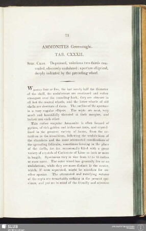 Ammonites Greenoughi. Tab. CXXXII