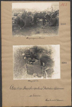 Panjewagen in Zborow
