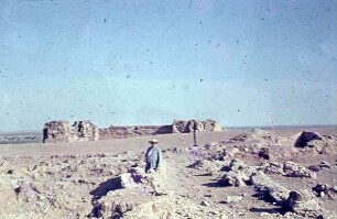Dura Europos Stadt u. Zitadelle