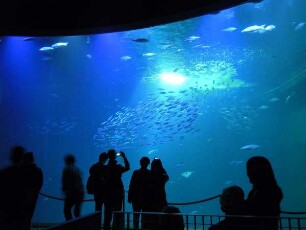 Stralsund - Ozeaneum : Aufgenommen im Ozeaneum von Stralsund am 21. April 2011
