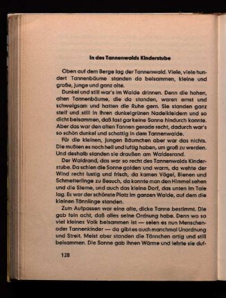 In des Tannenwalds Kinderstube