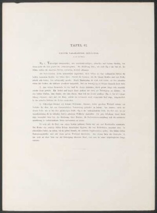 Tafel 42. - Grosse talarartige Gewänder.