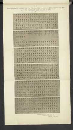 No IV. Photograph of the old palm-leaves of Horiuzi, dated in A. D. 1694. Send to Professor Max Müller in 1883. II.