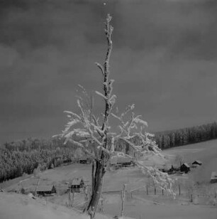 Rehefeld-Zaunhaus. Blick auf den Ort im Winter