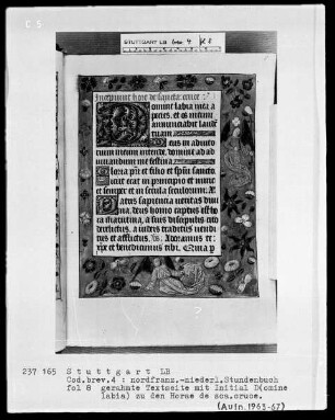 Stundenbuch — Initiale D (omine labia) und Vollbordüre, Folio 8recto
