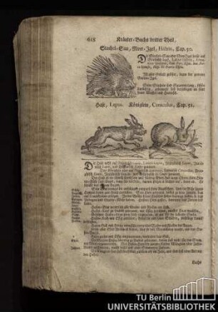 Cap. 51. Hase, Lepus. Koeniglein, Cuniculus.