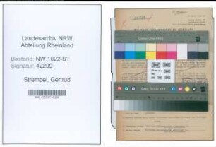 Entnazifizierung Gertrud Strempel , geb. 20.04.1884 (Naeherin)