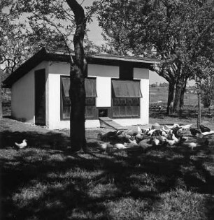 Werdenstein. Hühnerfarm Elgass. Wiese mit Hühnern und Hühnerstall