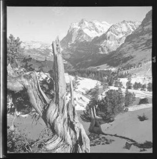 Im Berner Oberland
