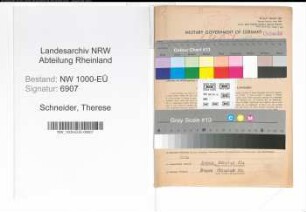 Entnazifizierung Therese Schneider, geb. 25.08.1906 (Lehrerin)