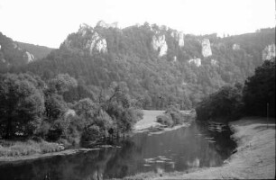 Thiergarten: Donautal mit Burg