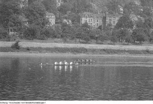 Dresden, Blasewitz. Inge Schlicke, Deutsche Meisterin im Ruder-Einer während der Ruderbootregatta in Dresden-Blasewitz 1964, 1964 & Dresden, Blasewitz. Ruderregatta 1964, Bildserie von der 75. Ruderregatta in Dresden-Blasewitz, Juni 1964
