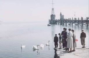 Konstanz. Passanten füttern Schwäne an der Mole