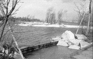 Basel: Grün 80; Wasserbau, Böschung, Ufer