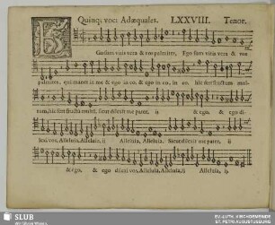 LXXVIII. Ego sum vitis vera