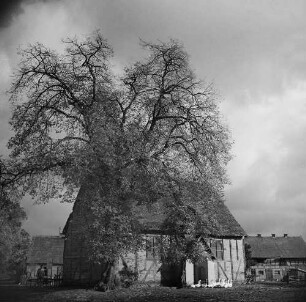 Archivfotografie "brandenburg_kirchen_horst_69neg"