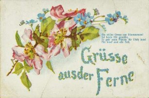 Grüsse aus der Ferne