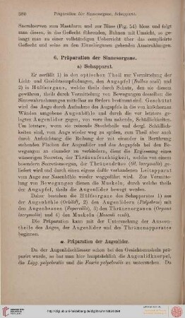 Präparation der Sinnesorgane