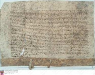 Lißberg: Bekennen Johann und Gottfried Grafen zu Ziegenhain und zu Nidda, als nach tödlichem Abgang der Herren v. Lißberg das halbe Schloss Lißber...