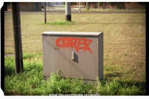 CORTEX