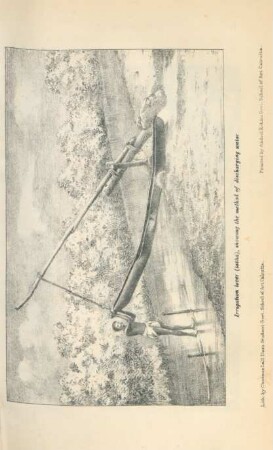 Irrigation lever (latha), showing the method ...