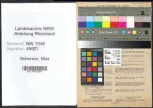 Entnazifizierung Max Scherner , geb. 15.09.1907 (Arzt)
