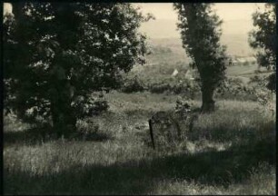 Israelit. Friedhof. Blick zum Alsenztal und Donnersberg